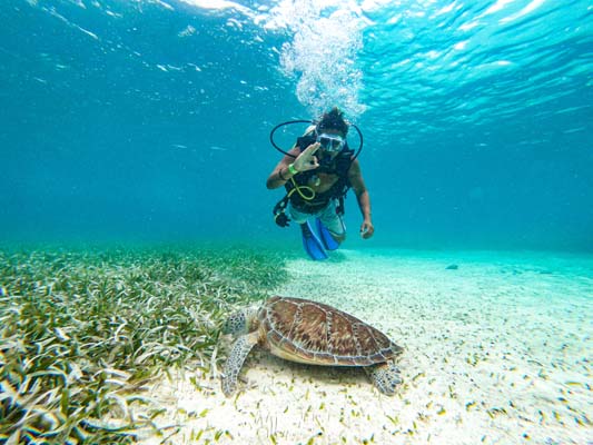 Belize la joya