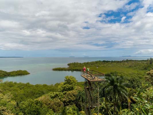 Canopy Tower ar Tranquilo Bay eco adventure lodge Isla Bastimentos Bocas del Toro Province