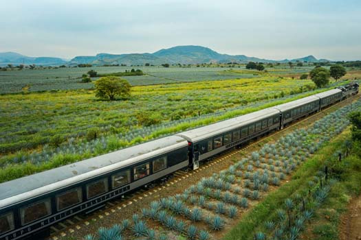FerromexDronTequila 2