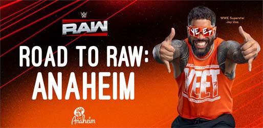 WWE y Visitok