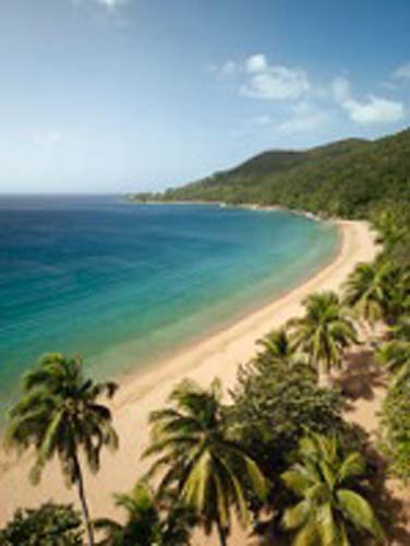 1 Antillas Islas Tropicales y aguas colos turquesa esperan con MSC Cruises