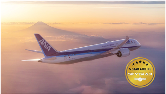 ANA 1