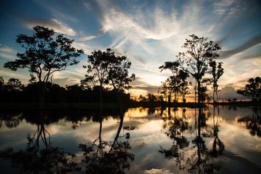 Amazonia peruana 1