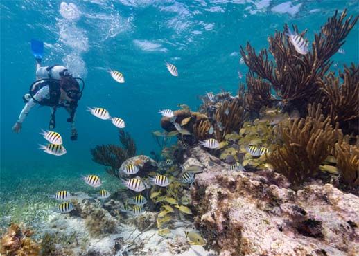 Belize 1