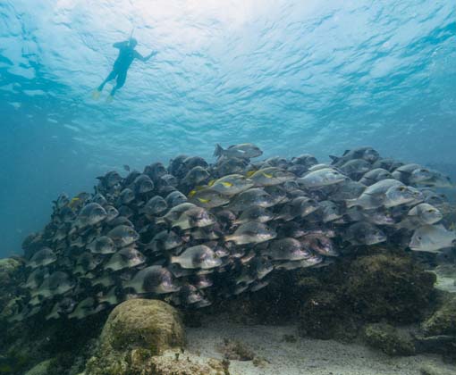 Belize agua 1