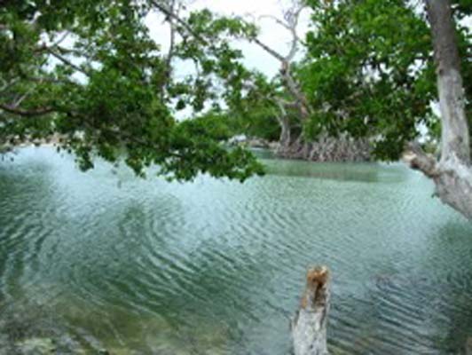 Yucatan 1