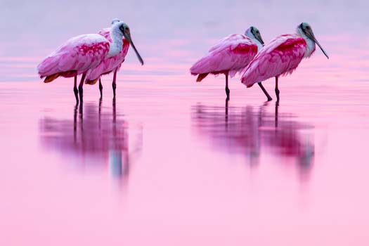 Yucatan naturaleza 1