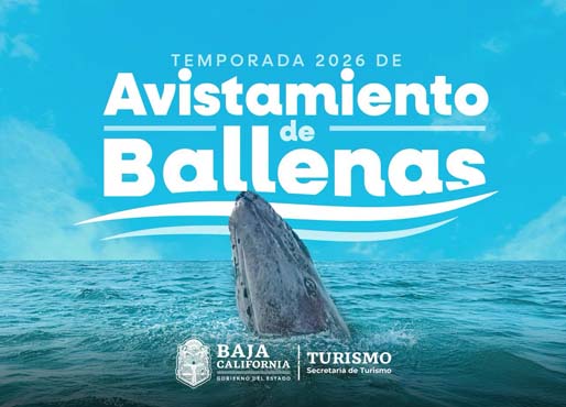 ballenas 1