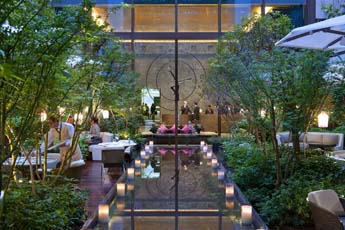 paris lobby garden evening