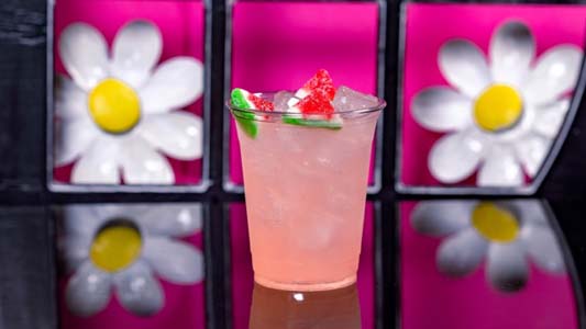 Cafe Daisy   Picnic Time Watermelon Lemonade