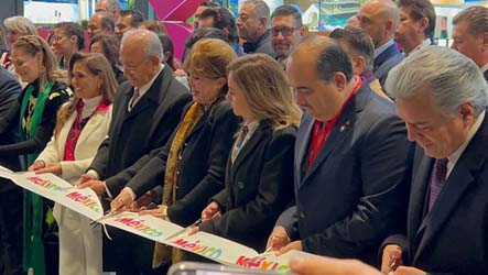 NL FITUR
