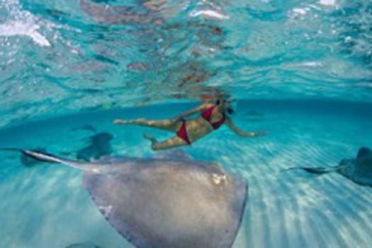 Stingray City