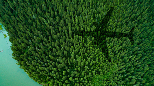 AA releases 2022 Sustainability Report