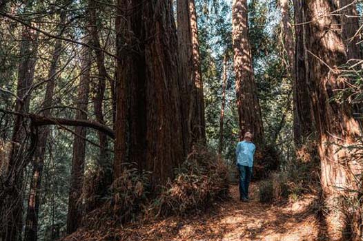 Descubre la naturaleza2