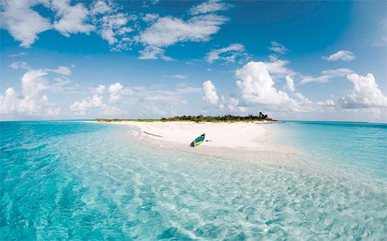 bahamas copy