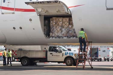 AM Cargo1