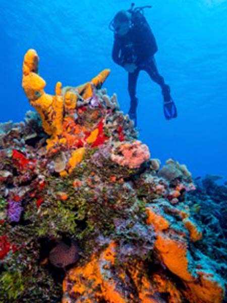 Belize 1