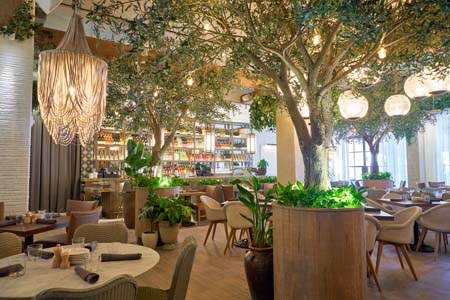 EL RESTAURANTE ABA 3