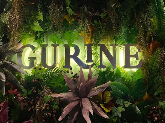 Gurine1