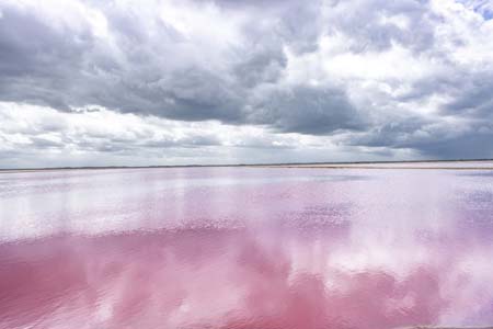 Las coloradas 1