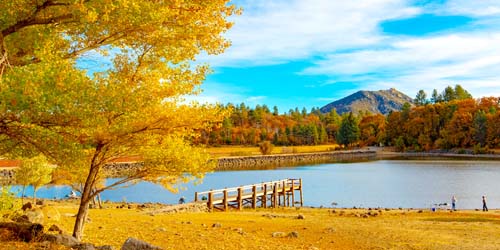 VC Fall Foliage Julian gty