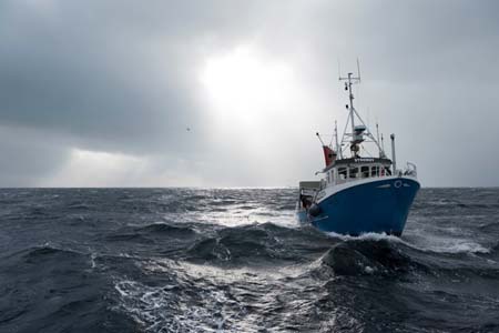 Fotografo Johan Wildhagen, Tha  Norwegian Seafood Council 2