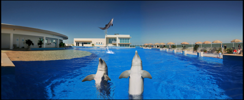 Marineland AZA 1