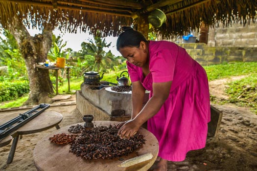 ChocolateMaking