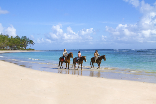 Dile Hola a Barbados