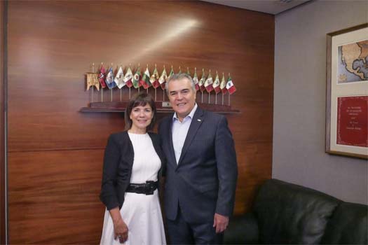 El CCE se reune