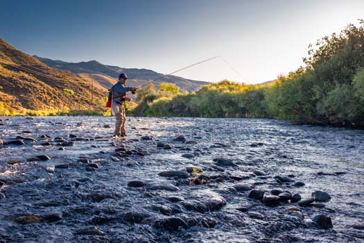 iStock Truckee River 1180632409